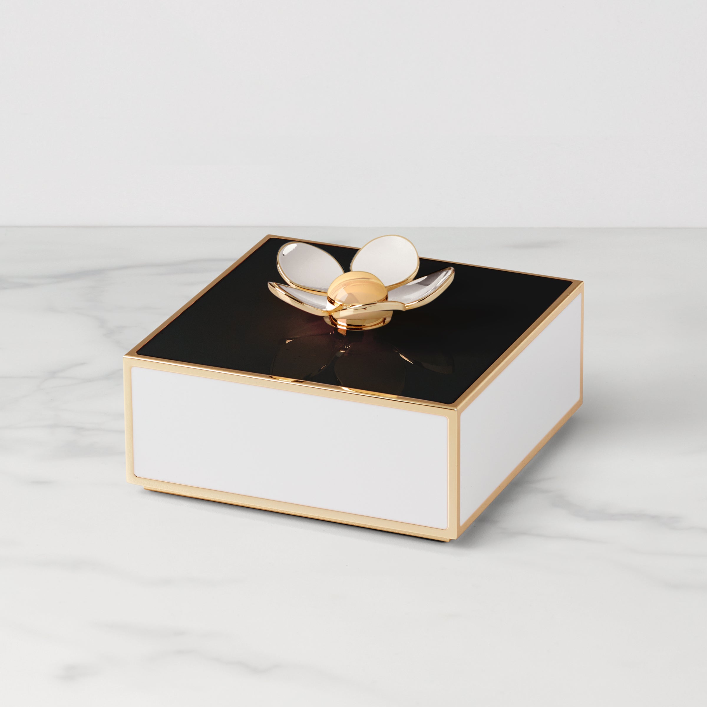 Lenox Westmore Make It Pop Black & White Floral Box